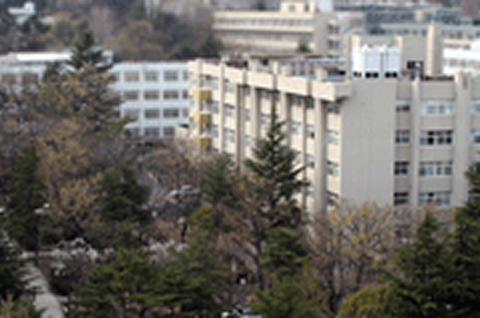 물리학과